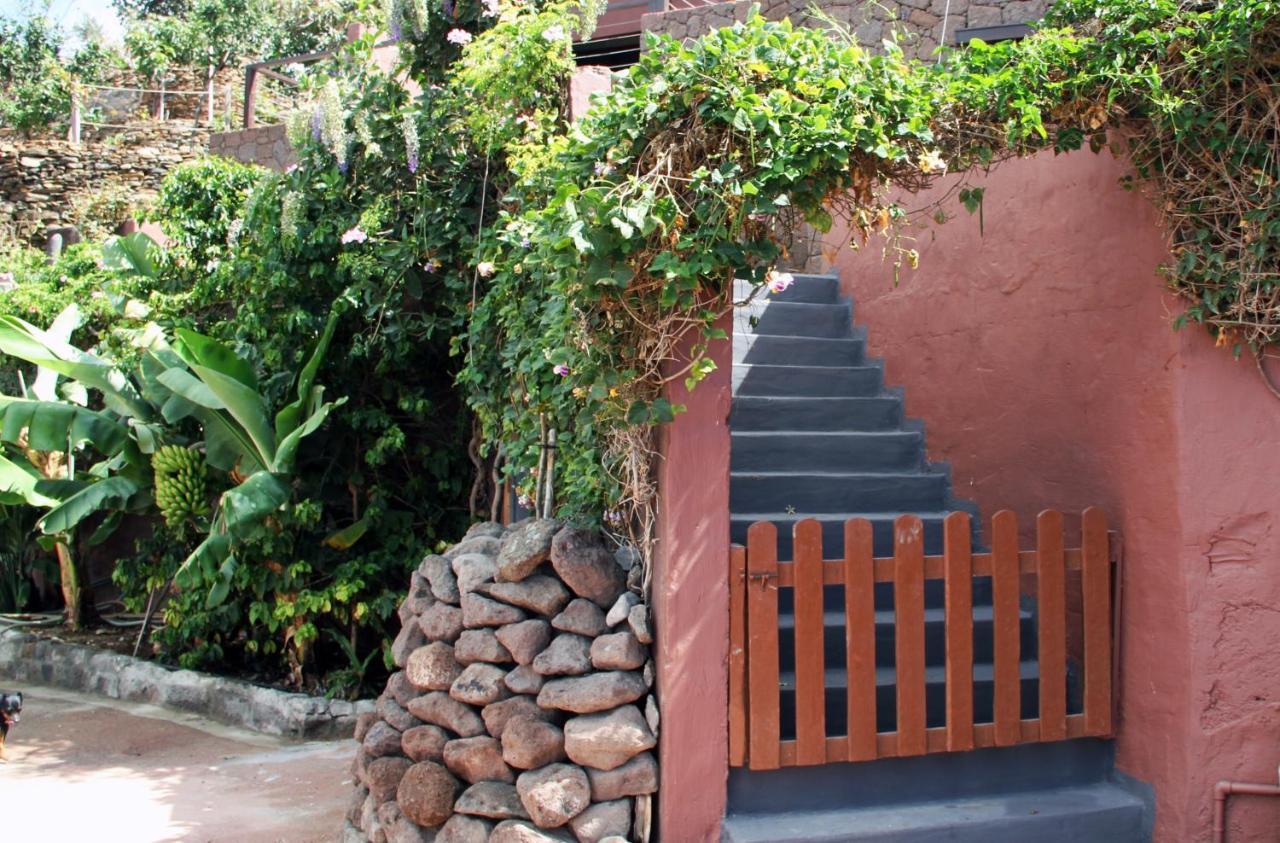 Tonono'S Village Santa Maria de Guia de Gran Canaria Ngoại thất bức ảnh
