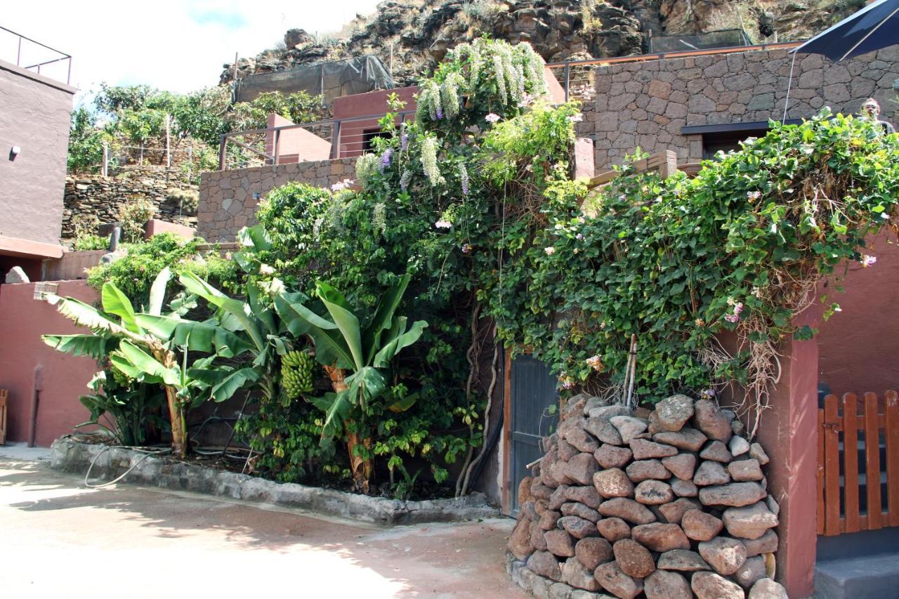 Tonono'S Village Santa Maria de Guia de Gran Canaria Ngoại thất bức ảnh