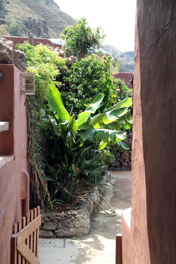Tonono'S Village Santa Maria de Guia de Gran Canaria Ngoại thất bức ảnh