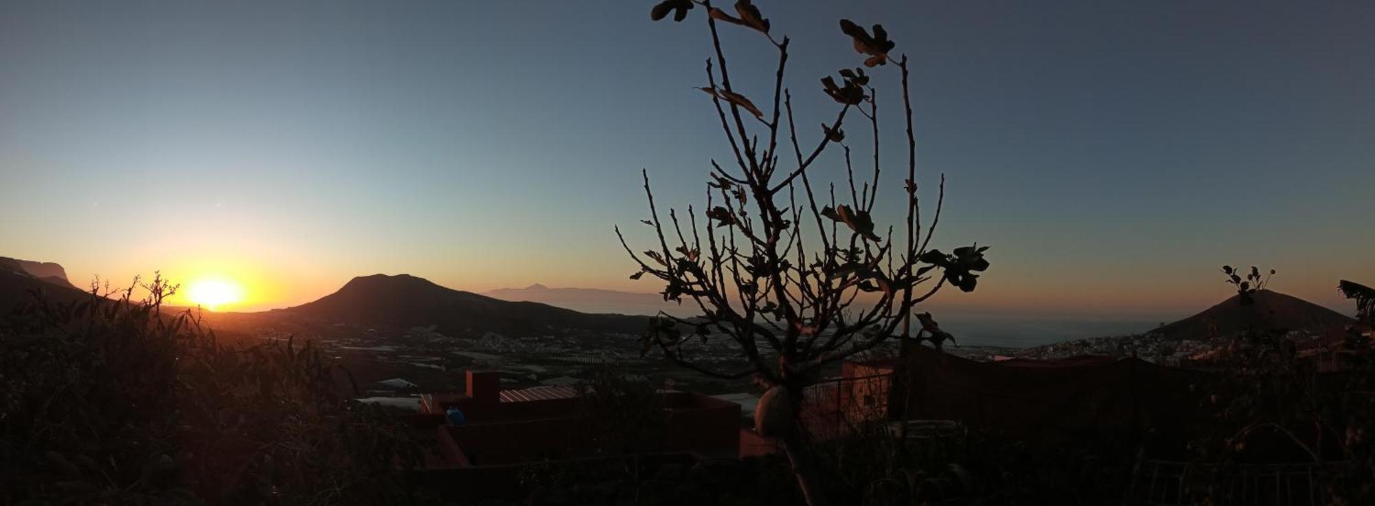 Tonono'S Village Santa Maria de Guia de Gran Canaria Ngoại thất bức ảnh