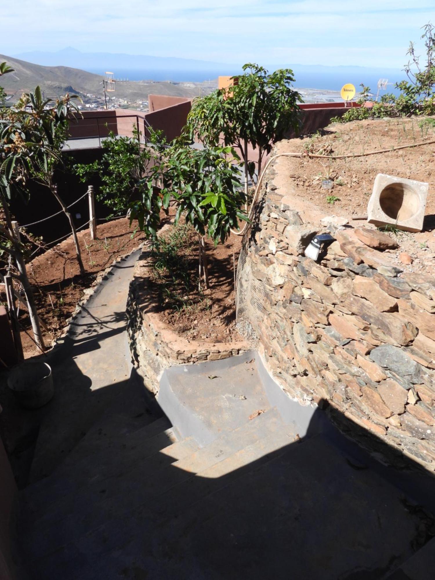 Tonono'S Village Santa Maria de Guia de Gran Canaria Ngoại thất bức ảnh