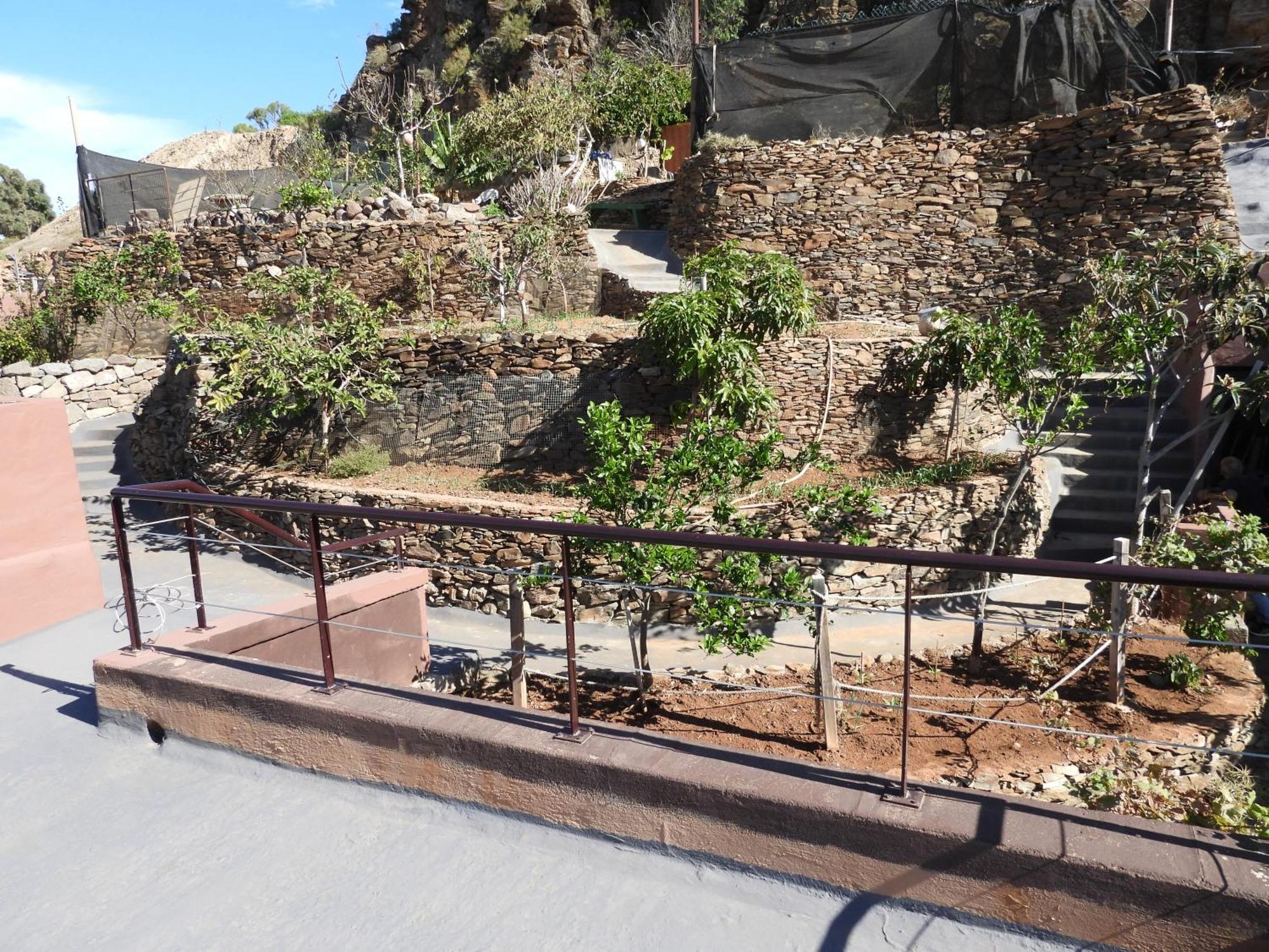 Tonono'S Village Santa Maria de Guia de Gran Canaria Ngoại thất bức ảnh